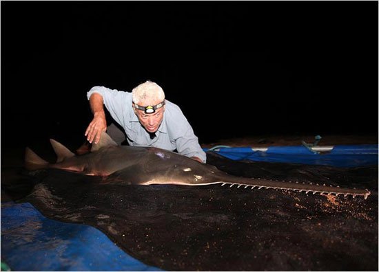 Jeremy Wade, nhà động vật học phải mất 20 năm mới có thể câu được một con cá đao khổng lồ.