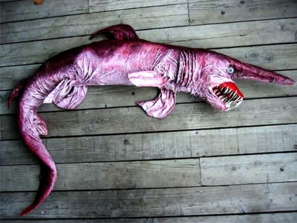 Cá mập yêu tinh trưởng thành có thể dài đến 4 m. Sinh vật có hình thù đáng sợ này được cho là có nguồn gốc từ thời tiền sử, tổ tiên của nó sống ở khoảng 125 triệu năm trước.