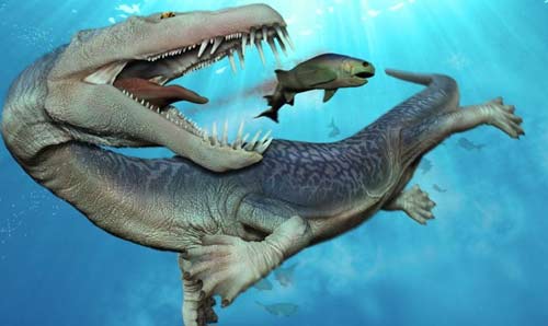 Nothosaurus được cho là loài động vật săn mồi phục kích, chuyên tấn công và tiêu diệt con mồi bằng tốc độ. Hóa thạch cho thấy rằng chúng sống trong kỷ Triat, cách đây hơn 200 triệu năm.