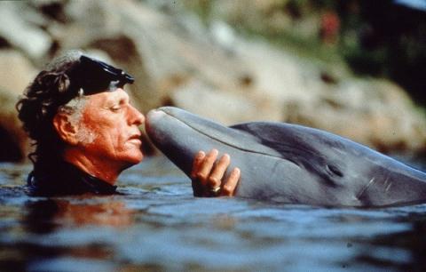 Hơn 40 năm trước đây, huấn luyện viên cá heo Richard O’Barry đã chứng kiến một con cá heo tên là Kitty trong chương trình truyền hình Flipper năm 1960 tự sát. Ông cho biết: “Kitty thực sự cảm thấy chán nản... Cá heo và cá voi không hô hấp như con người. Mỗi hơi thở của chúng là một sự nỗ lực có ý thức. Chúng có thể kết thúc cuộc sống của chúng bất cứ khi nào chúng muốn”.   