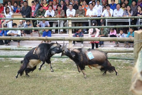 Nhung man tu chien dong loai kinh hoang cua de-Hinh-10