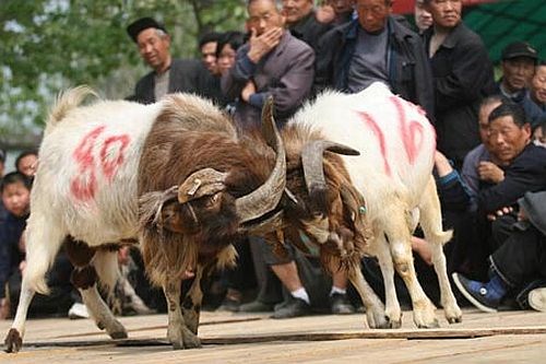 Nhung man tu chien dong loai kinh hoang cua de-Hinh-8